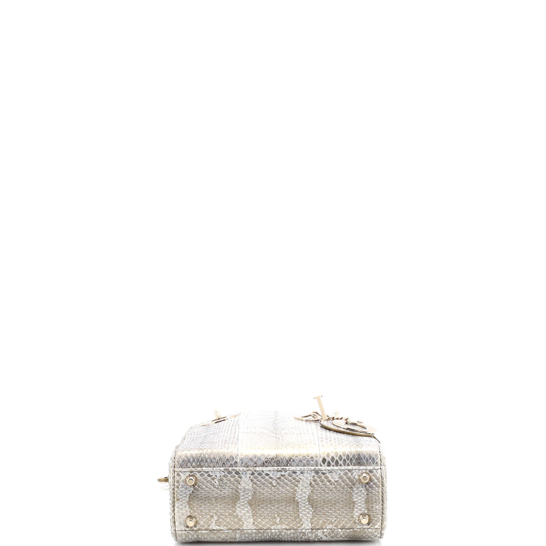 Lady Dior Chain Bag Python Mini