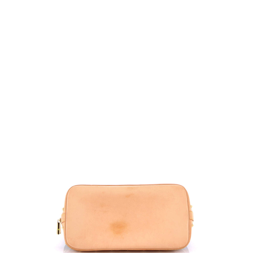 Alma Handbag Monogram Multicolor PM