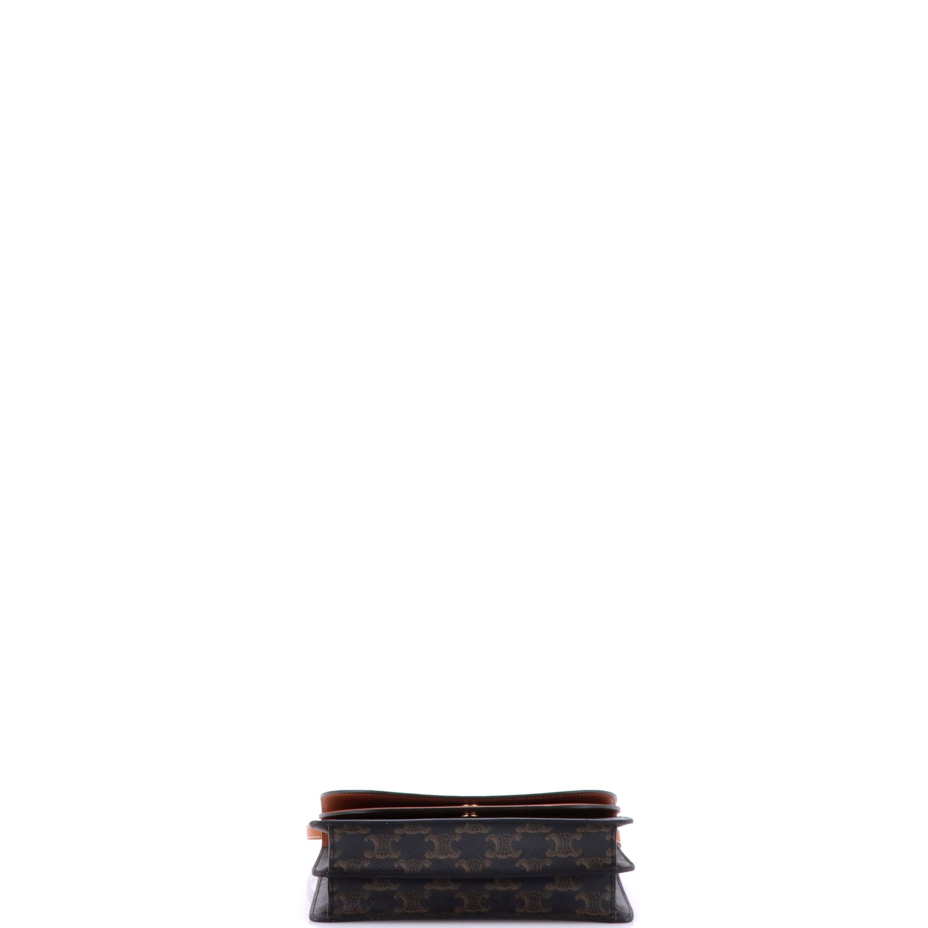 Wallet on Strap Triomphe Coated Canvas