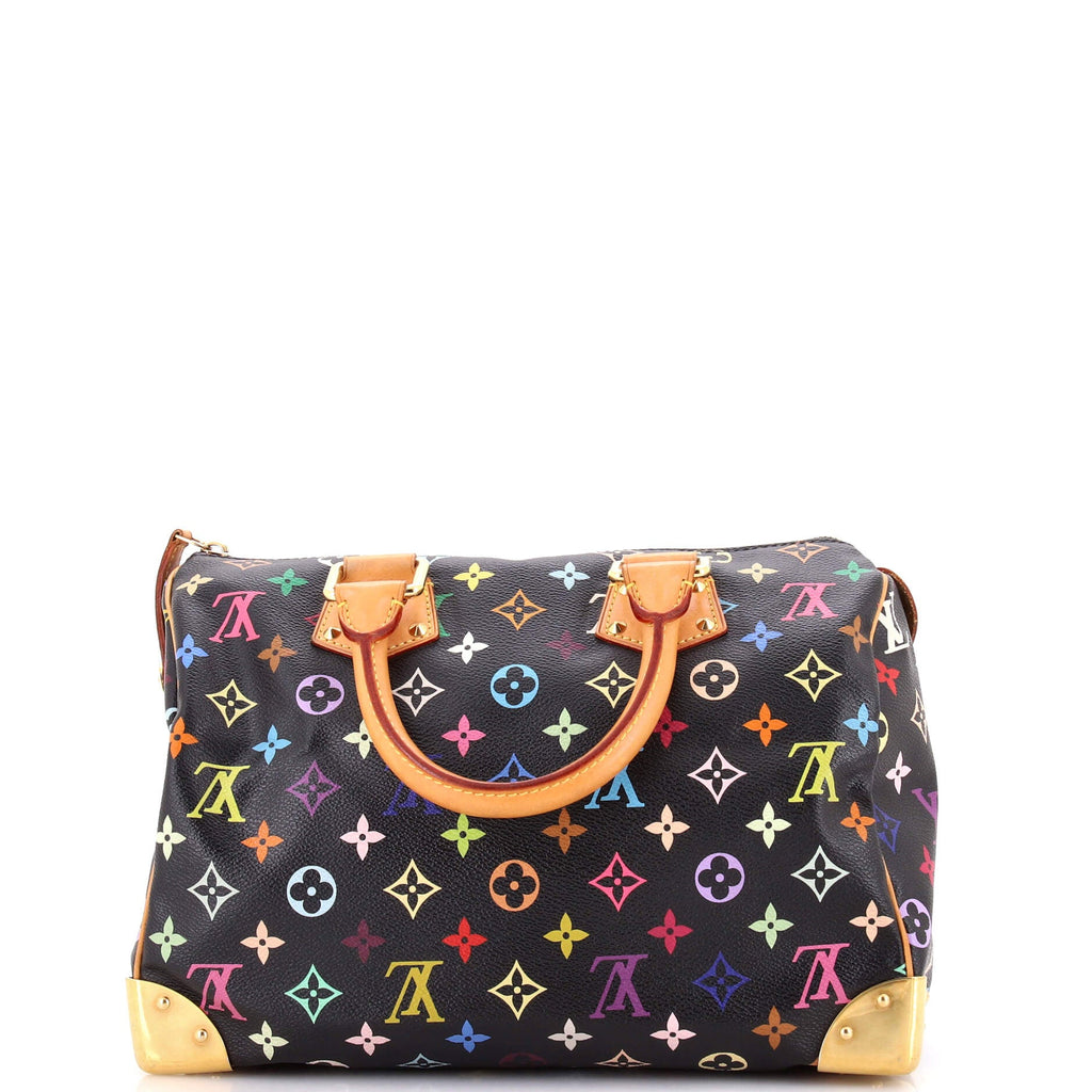 Speedy Handbag Monogram Multicolor 30