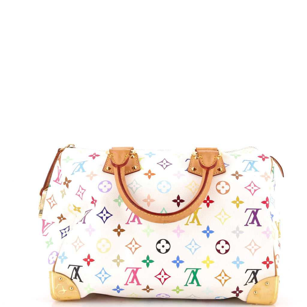 Speedy Handbag Monogram Multicolor 30