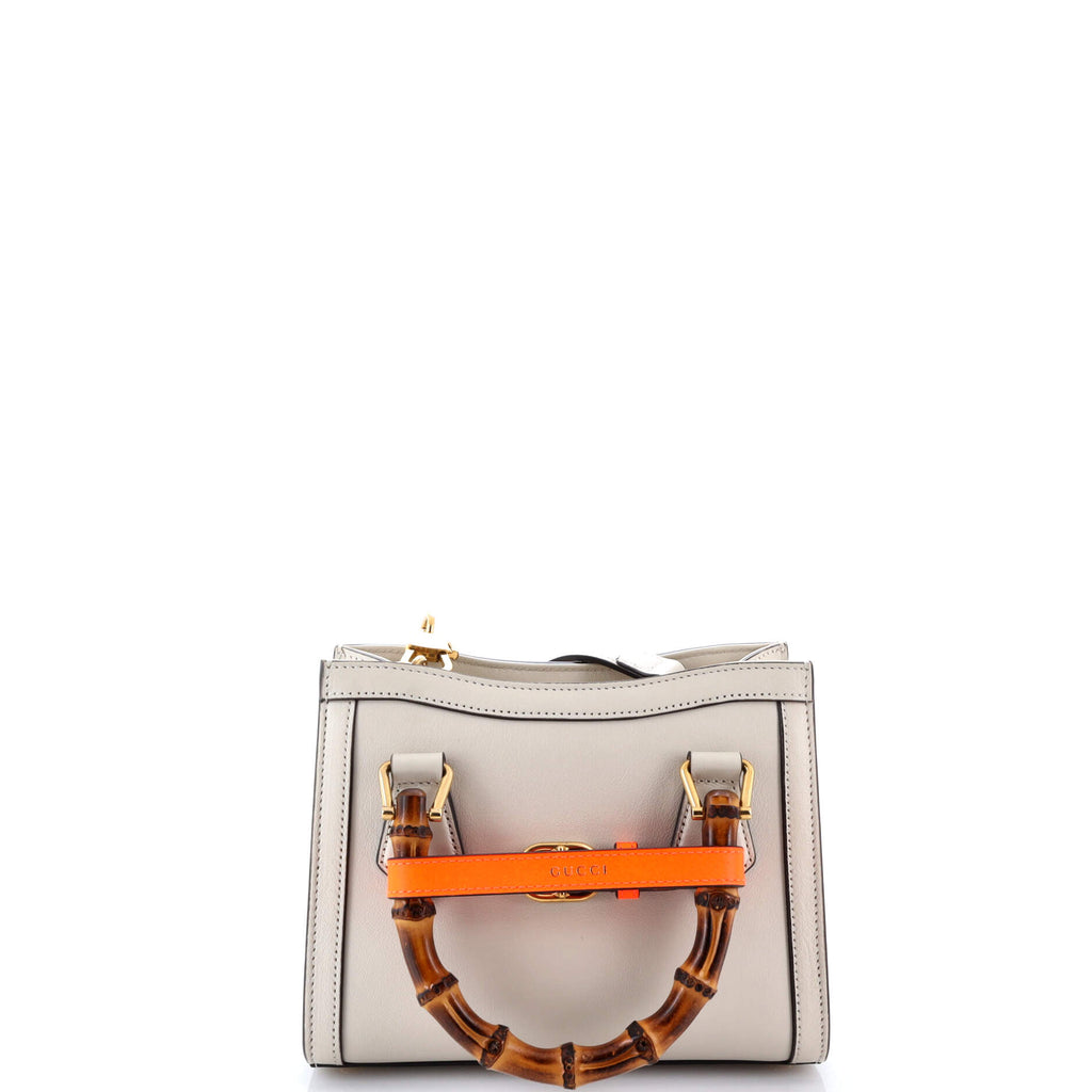 Diana NM Bamboo Handle Tote Leather Mini