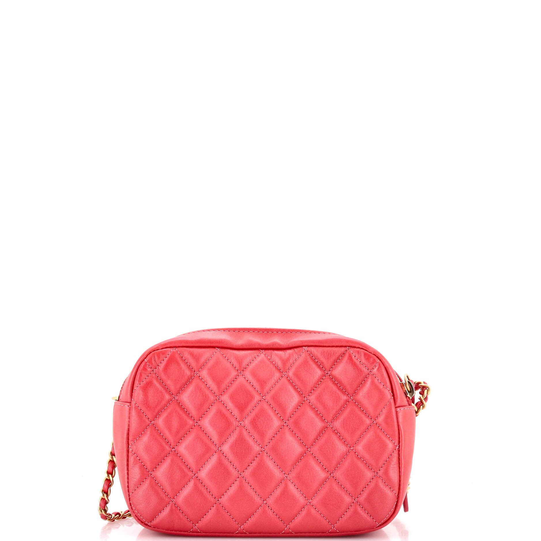 Day Trips Camera Case Bag Quilted Calfskin