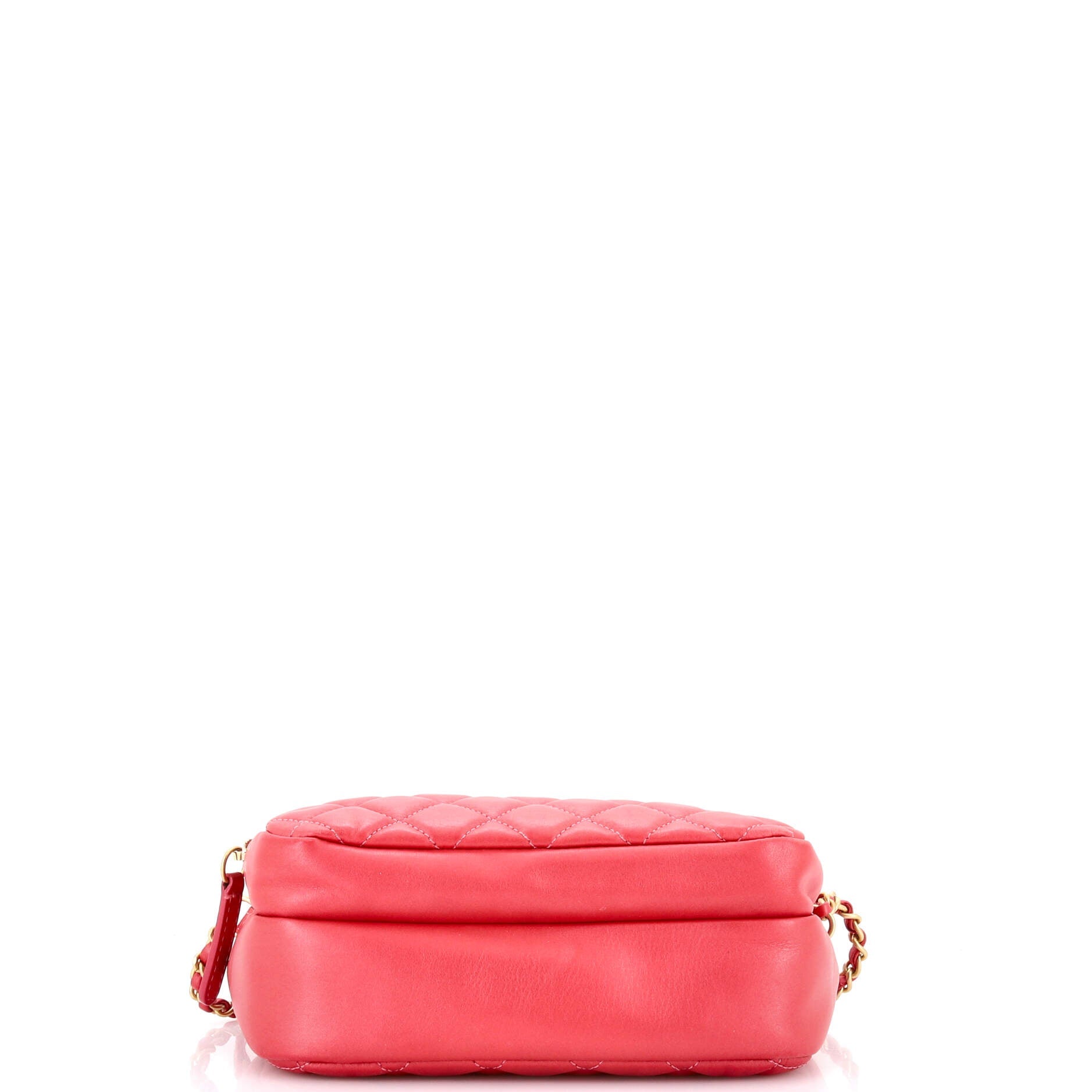 Day Trips Camera Case Bag Quilted Calfskin
