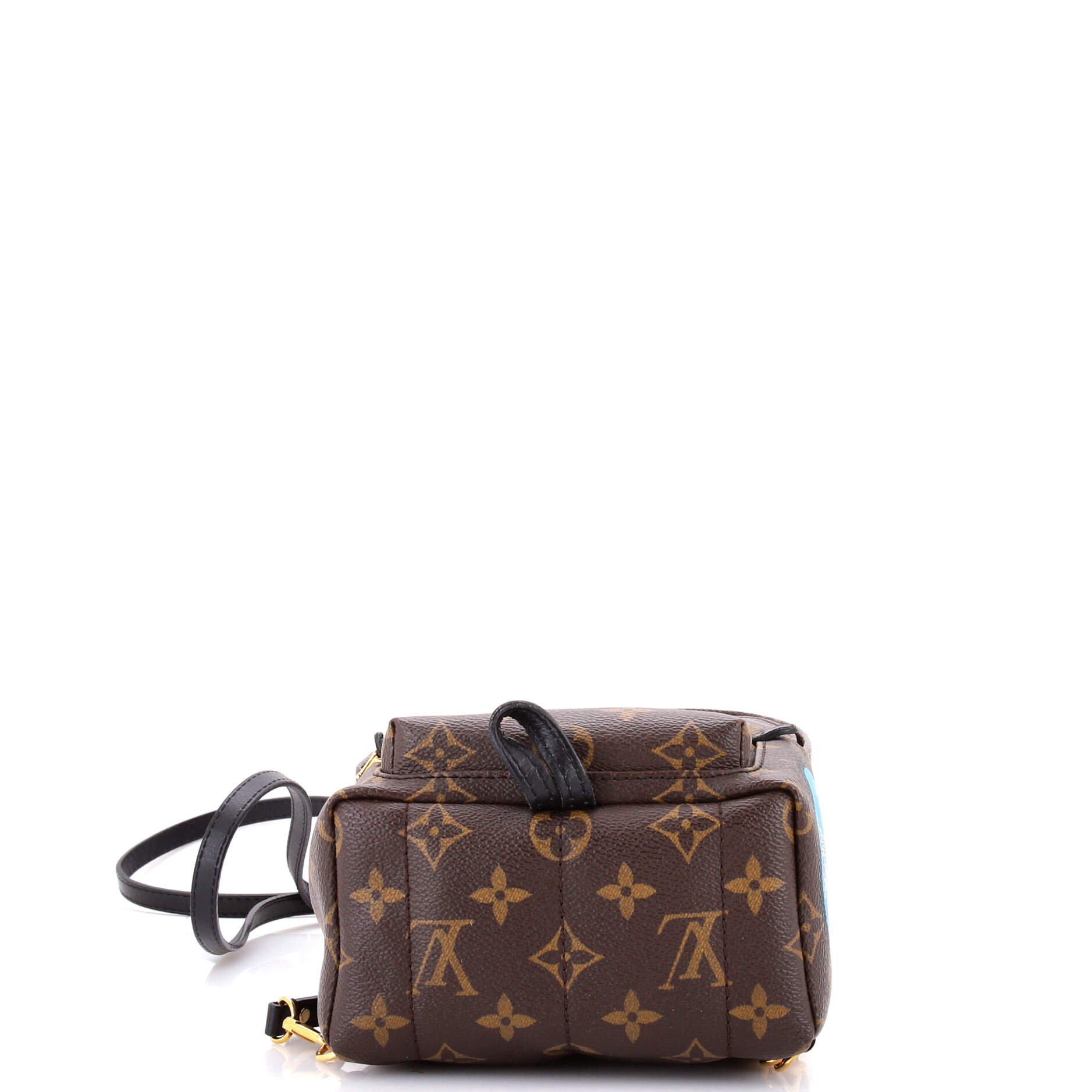 Palm Springs Backpack Limited Edition World Tour Monogram Canvas Mini