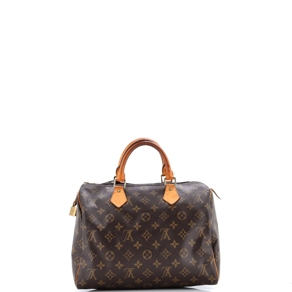 Speedy Handbag Monogram Canvas 30