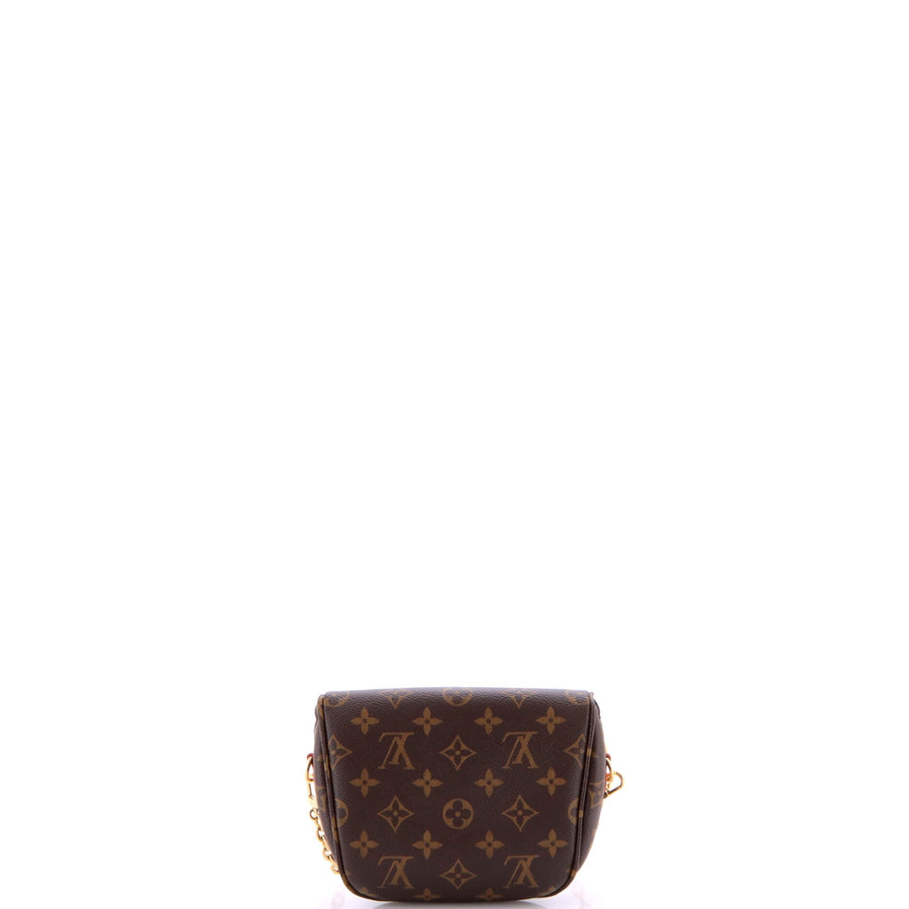 Bum Bag Monogram Canvas Mini