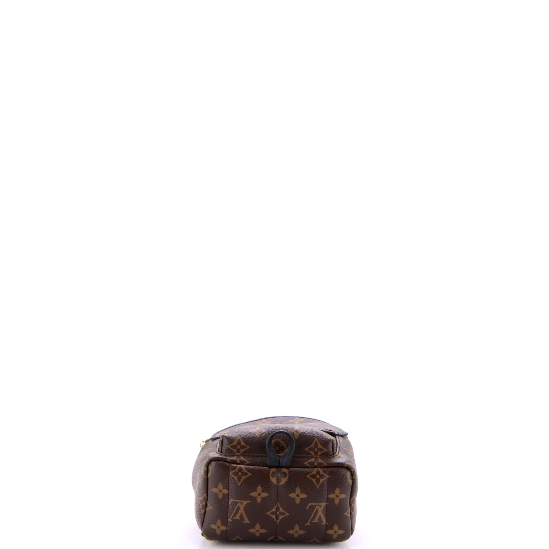 Palm Springs Backpack Monogram Canvas Mini