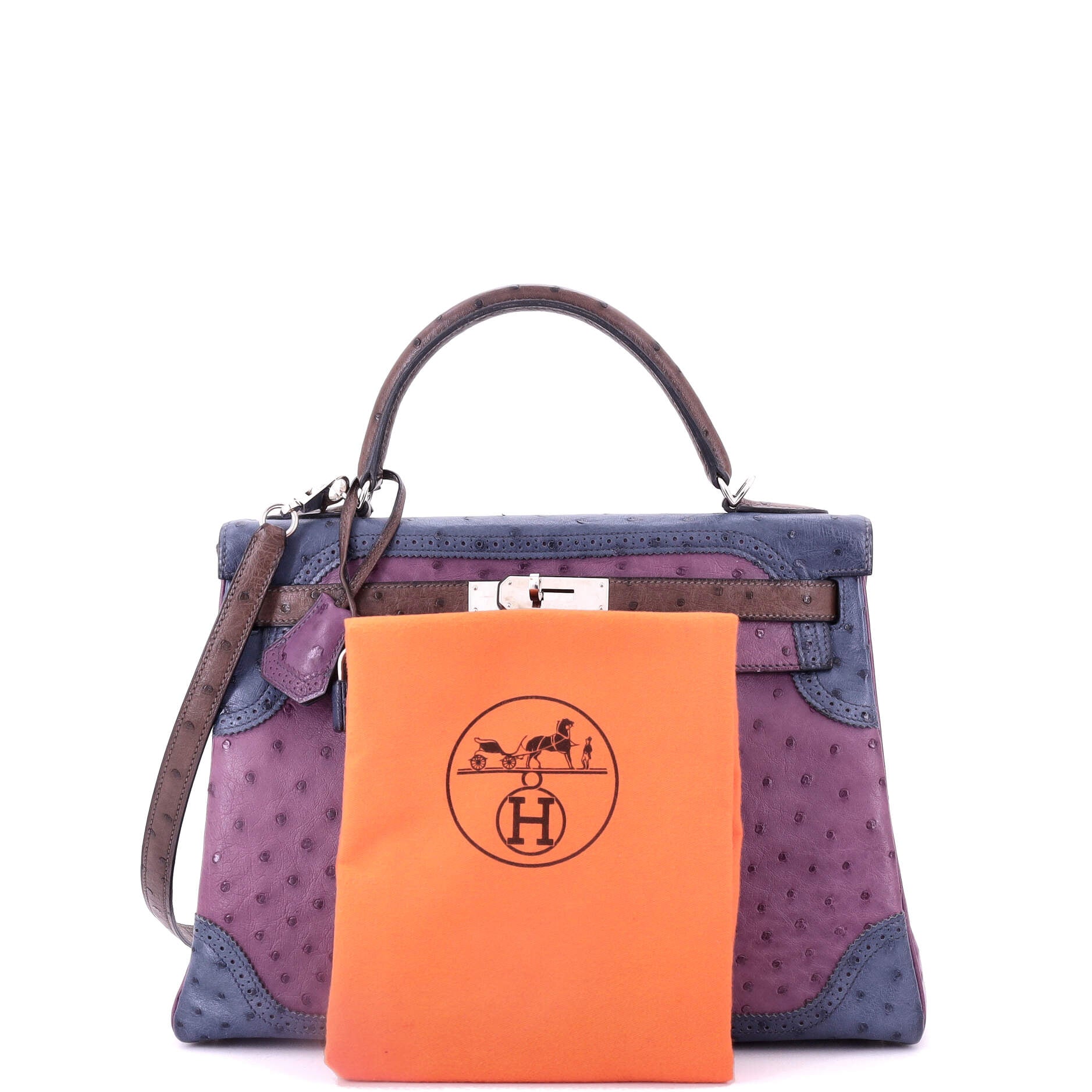 Kelly Ghillies Handbag Tricolor Ostrich with Palladium Hardware 32