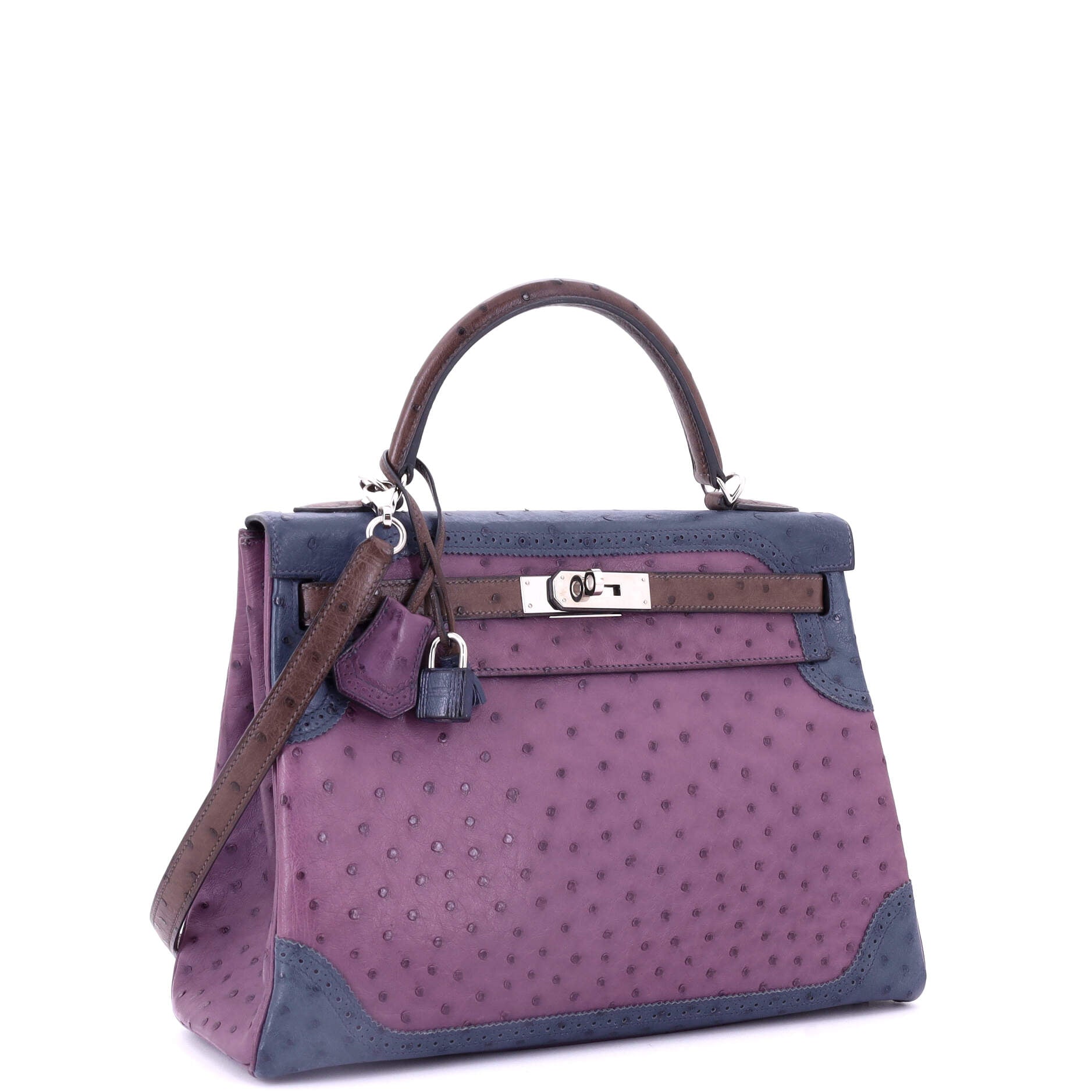 Kelly Ghillies Handbag Tricolor Ostrich with Palladium Hardware 32