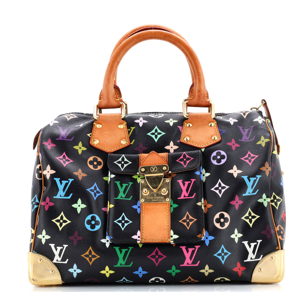Speedy Handbag Monogram Multicolor 30