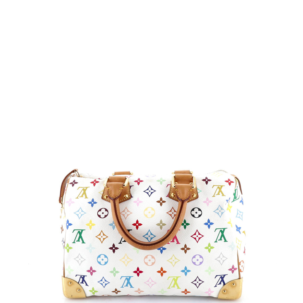 Speedy Handbag Monogram Multicolor 30