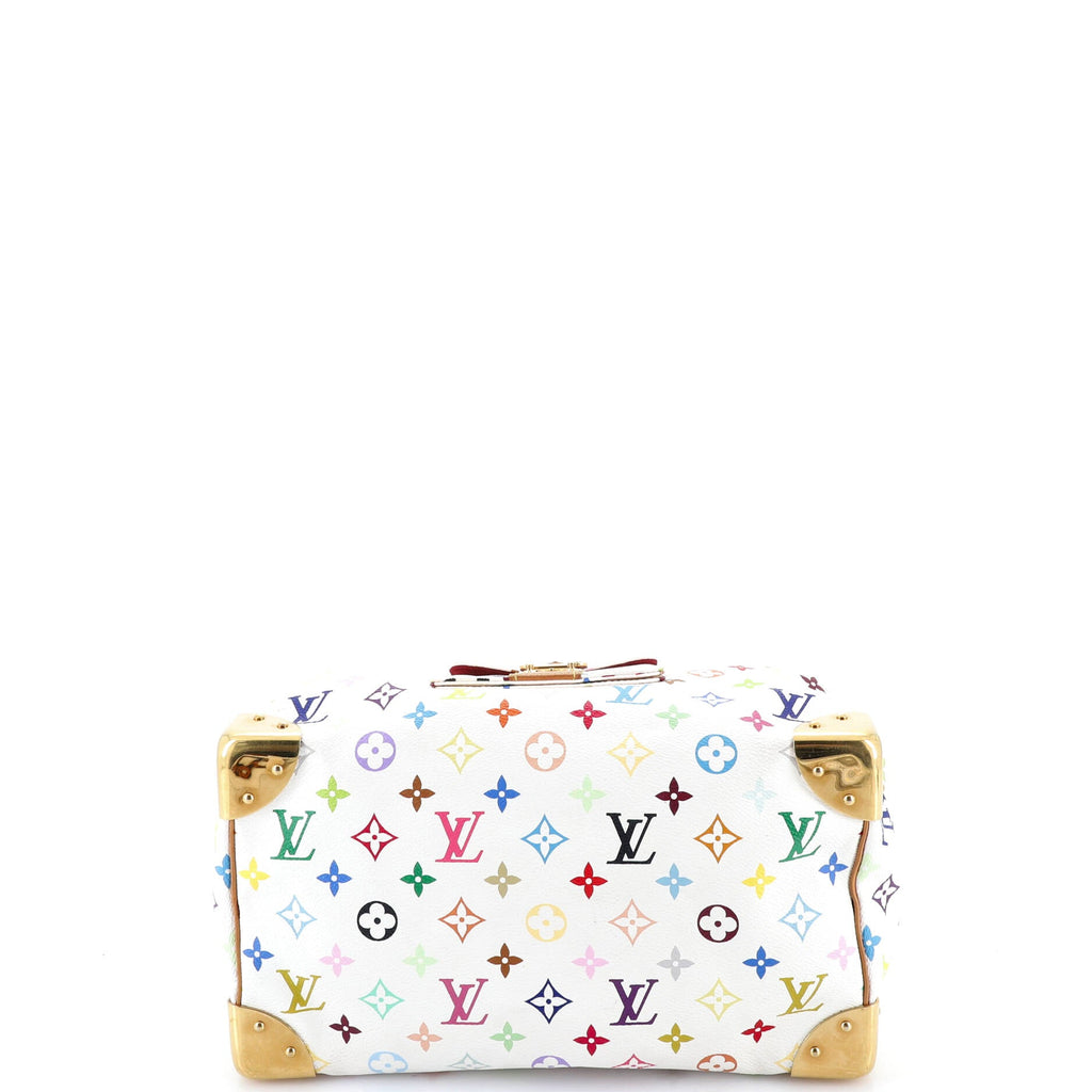Speedy Handbag Monogram Multicolor 30