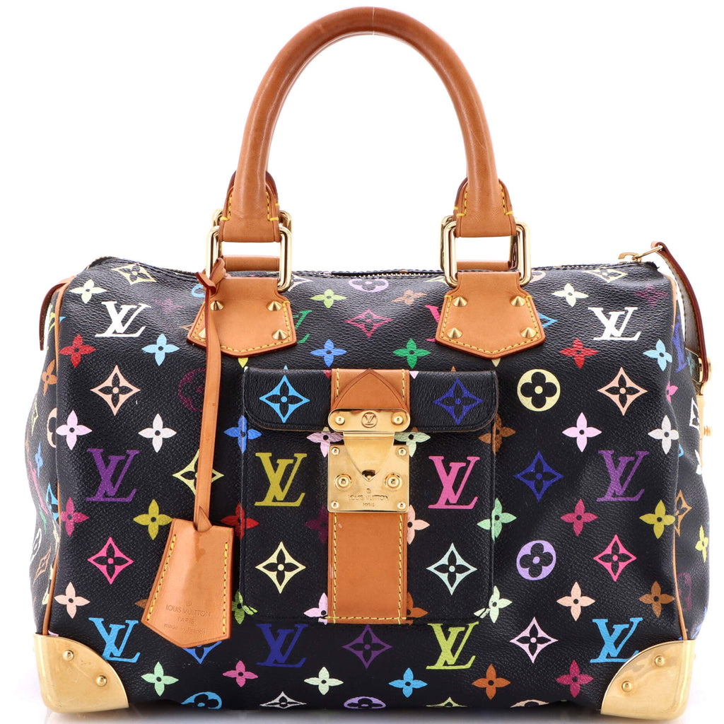 Speedy Handbag Monogram Multicolor 30