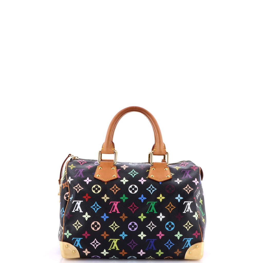 Speedy Handbag Monogram Multicolor 30