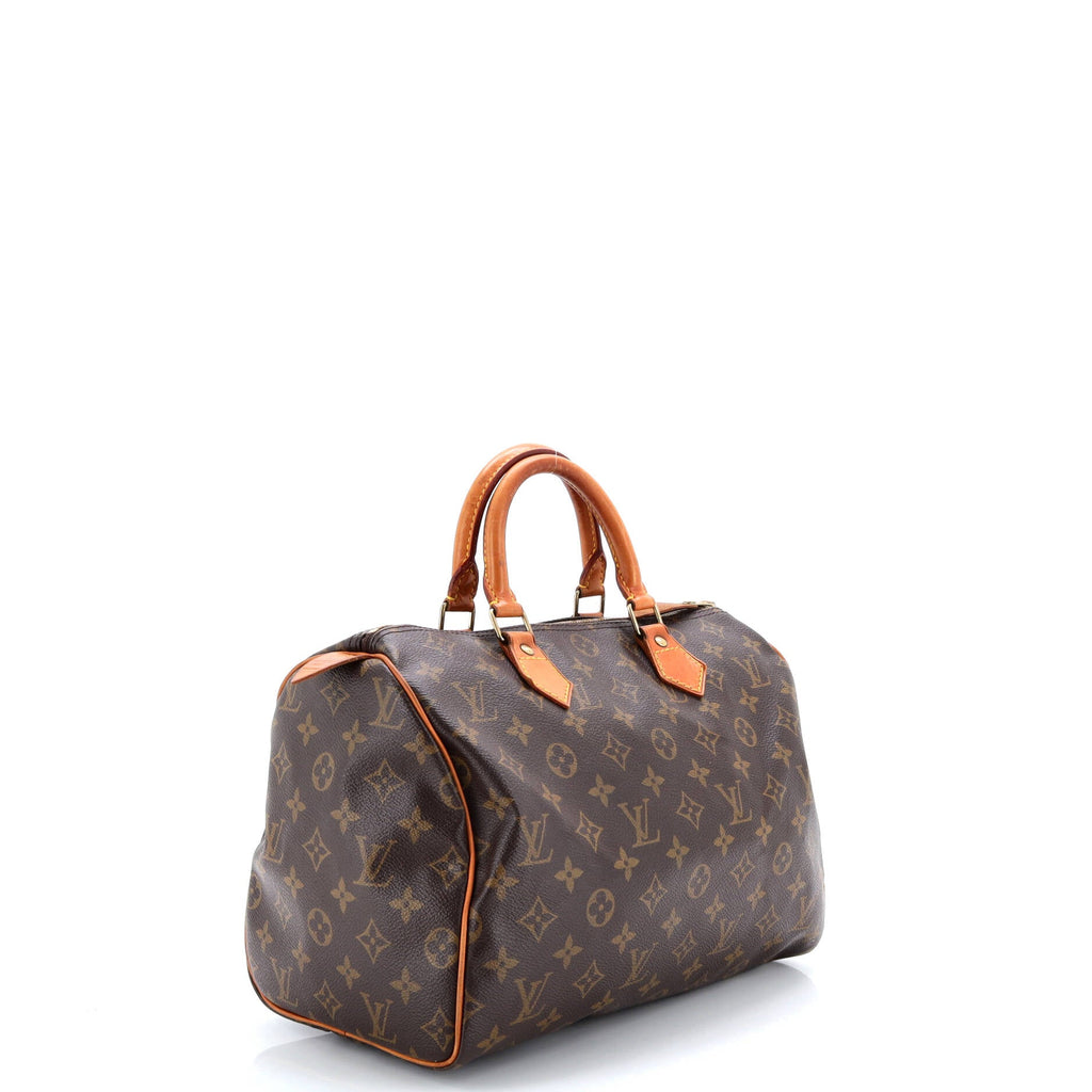 Speedy Handbag Monogram Canvas 30