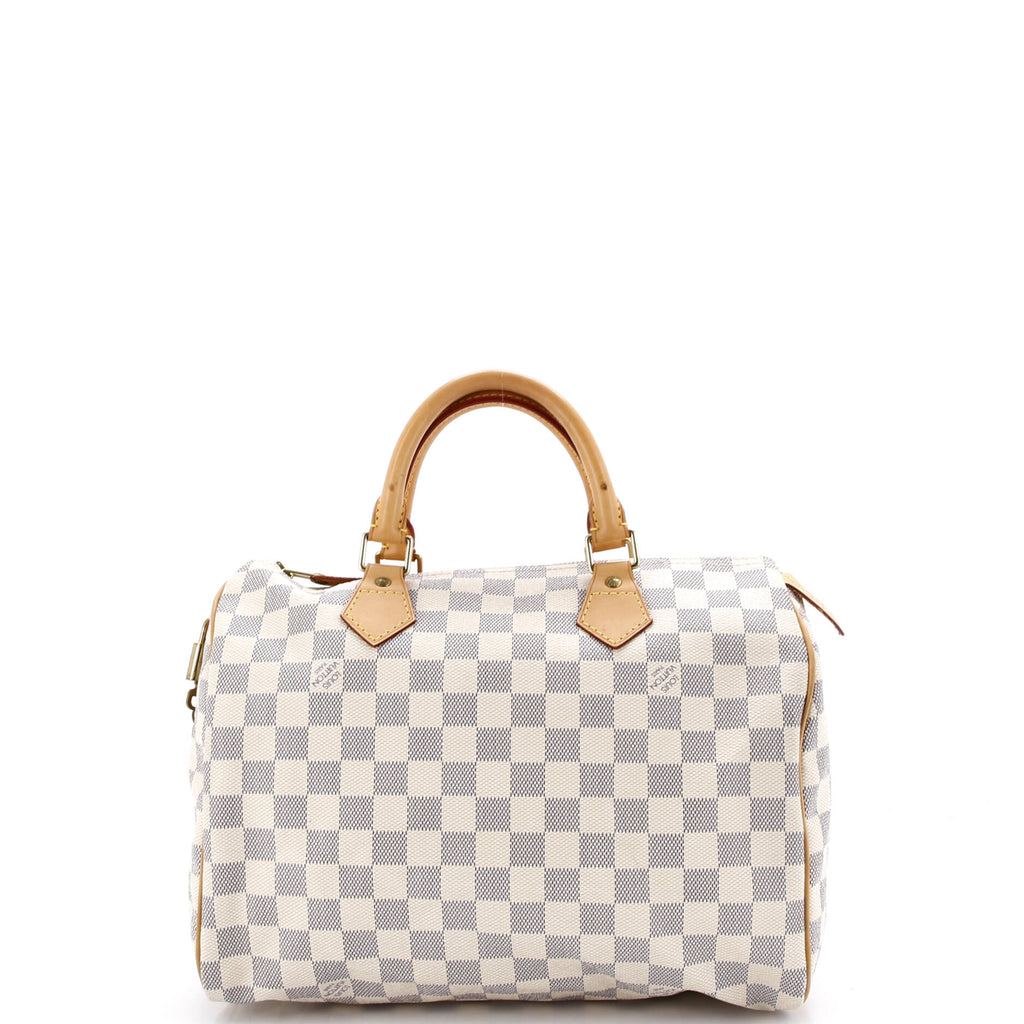 Speedy Handbag Damier 30