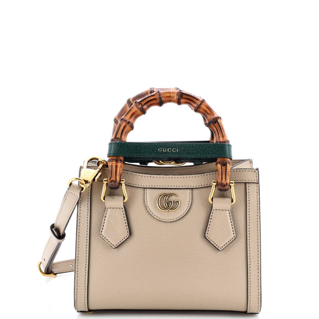 Diana NM Bamboo Handle Tote Leather Mini