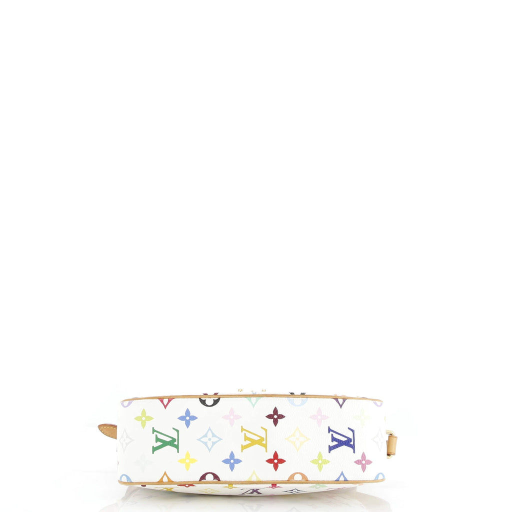 Sologne Handbag Monogram Multicolor