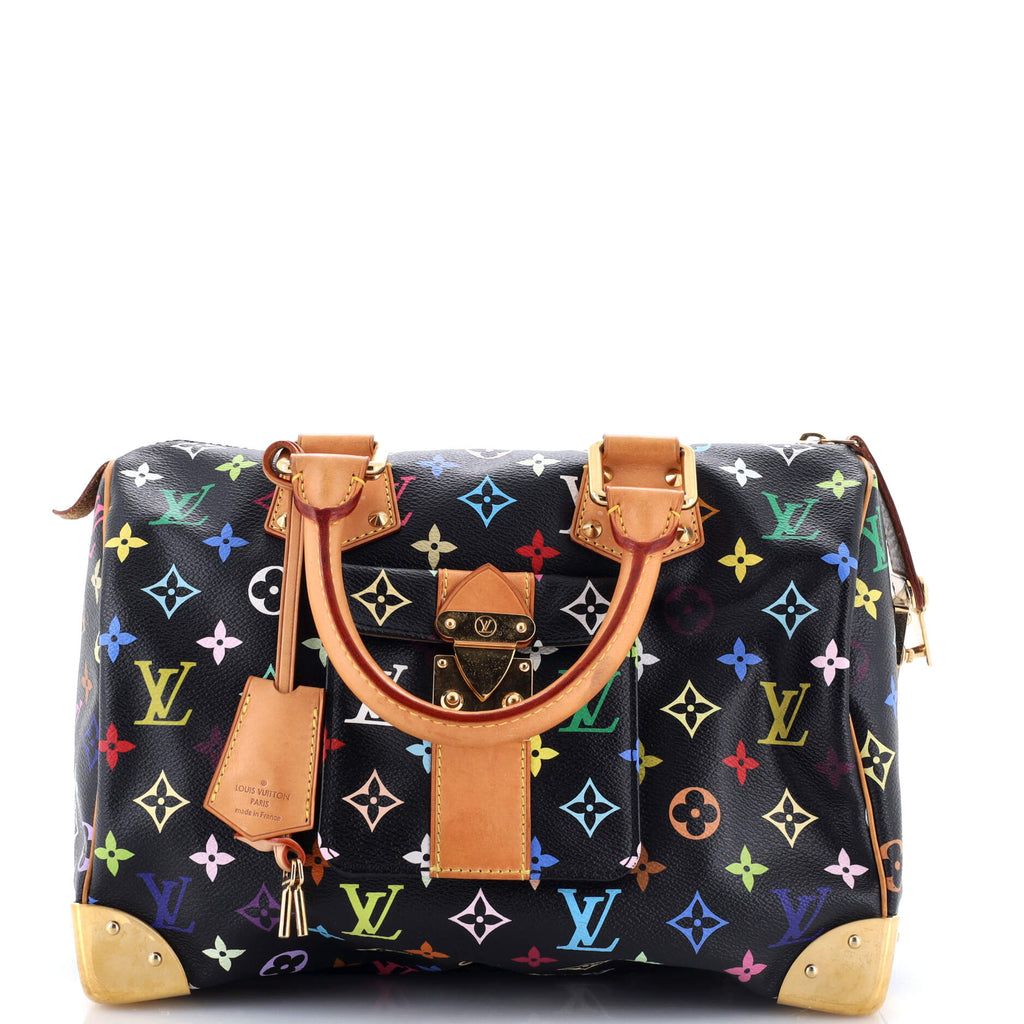 Speedy Handbag Monogram Multicolor 30
