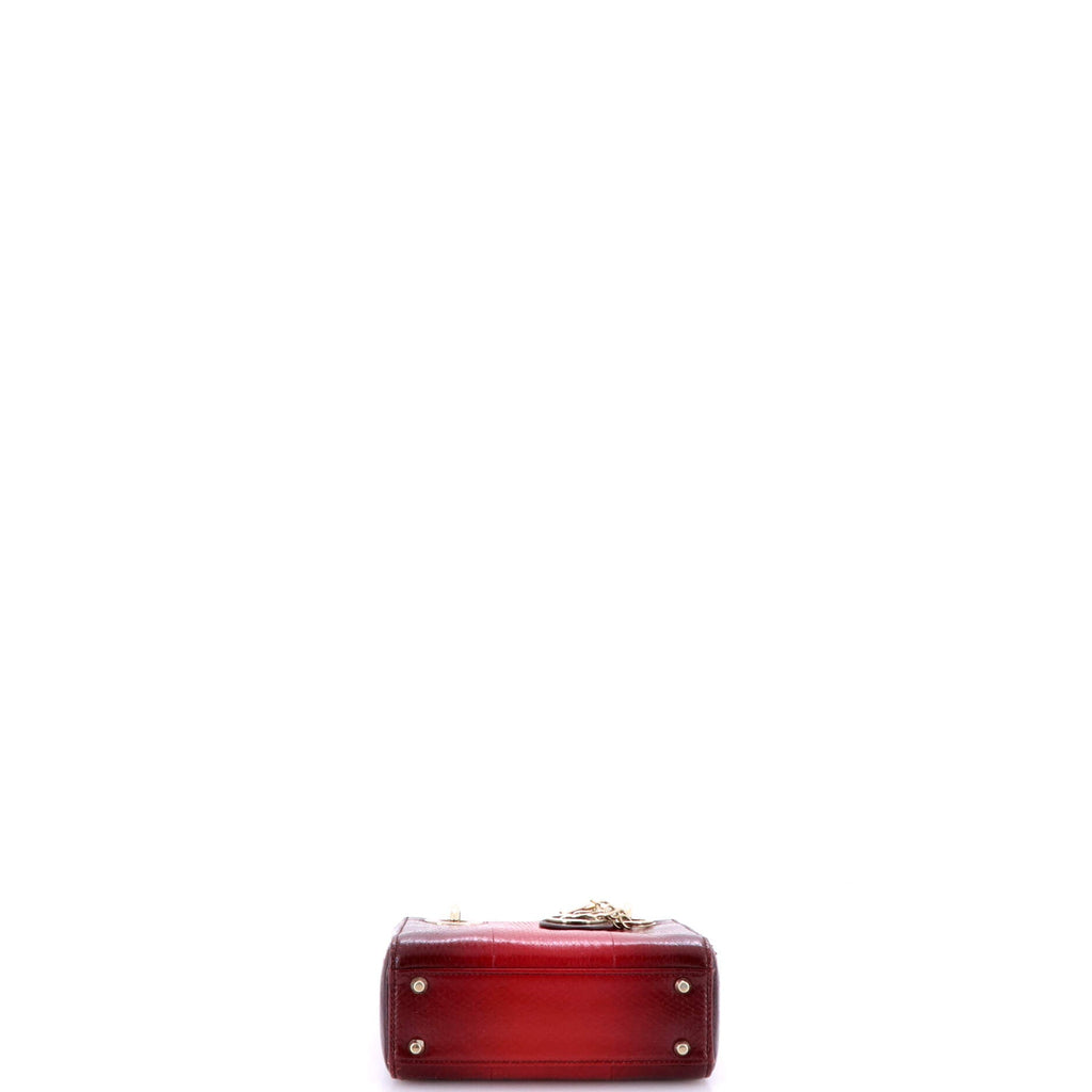 Lady Dior Chain Bag Python Mini