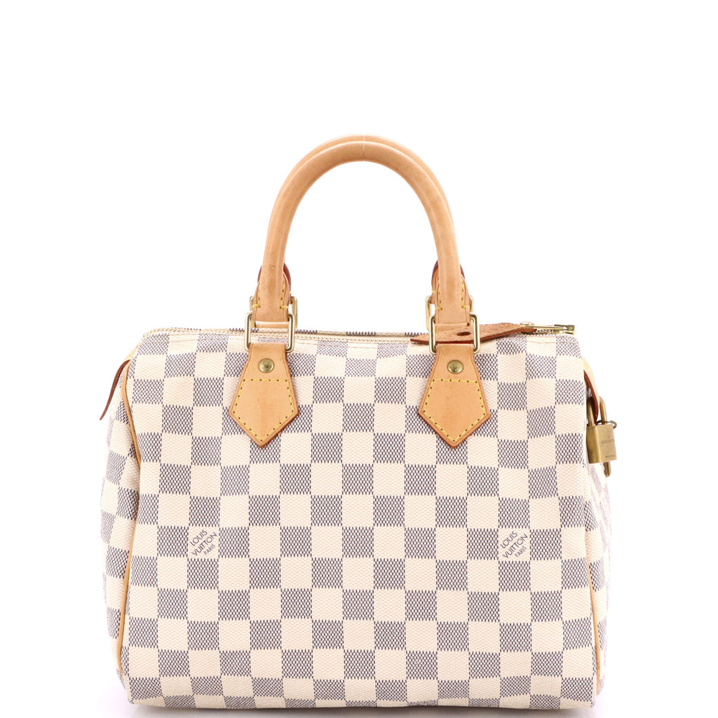 Speedy Handbag Damier 25