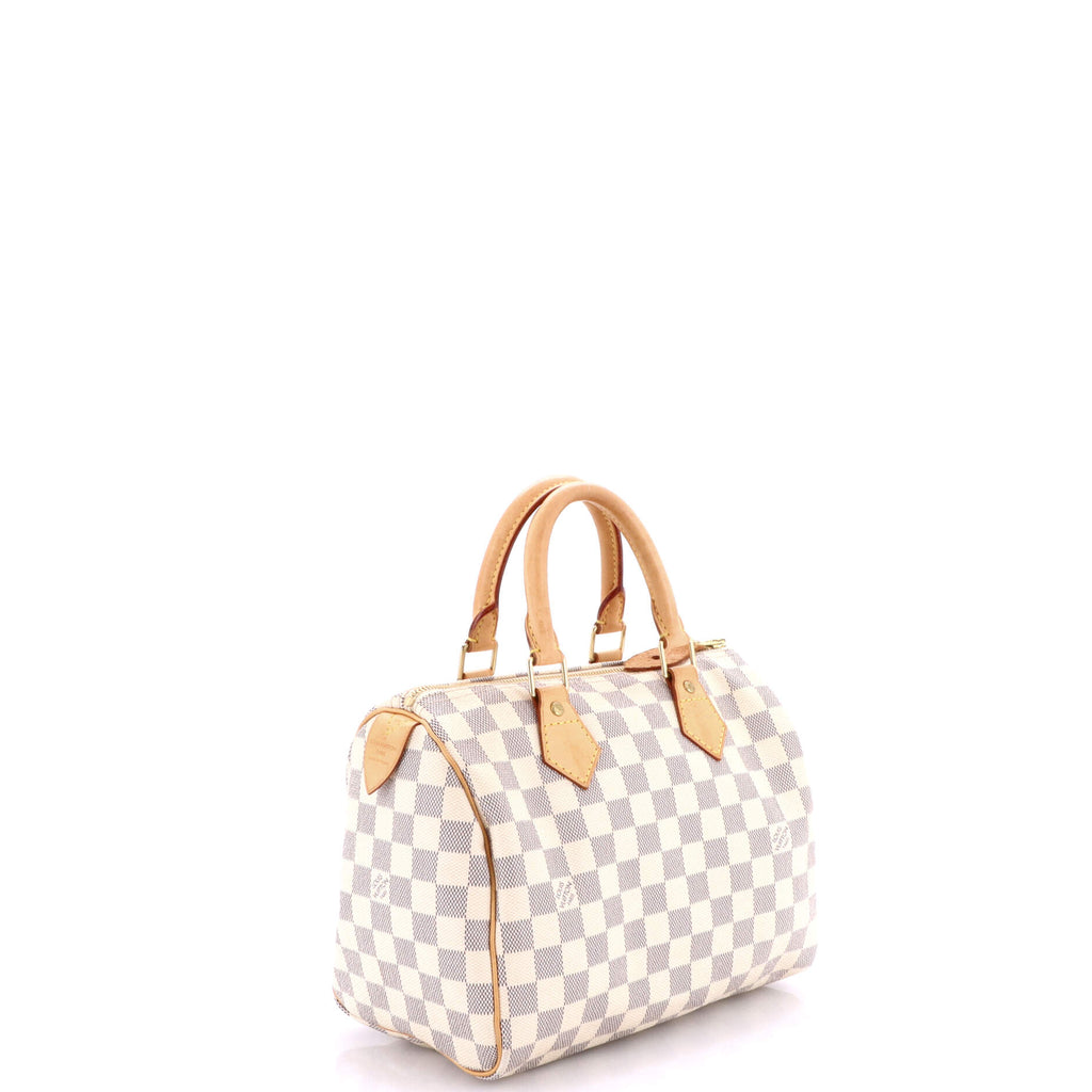 Speedy Handbag Damier 25