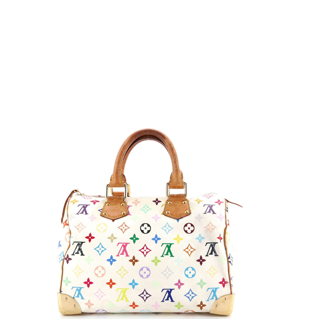 Speedy Handbag Monogram Multicolor 30