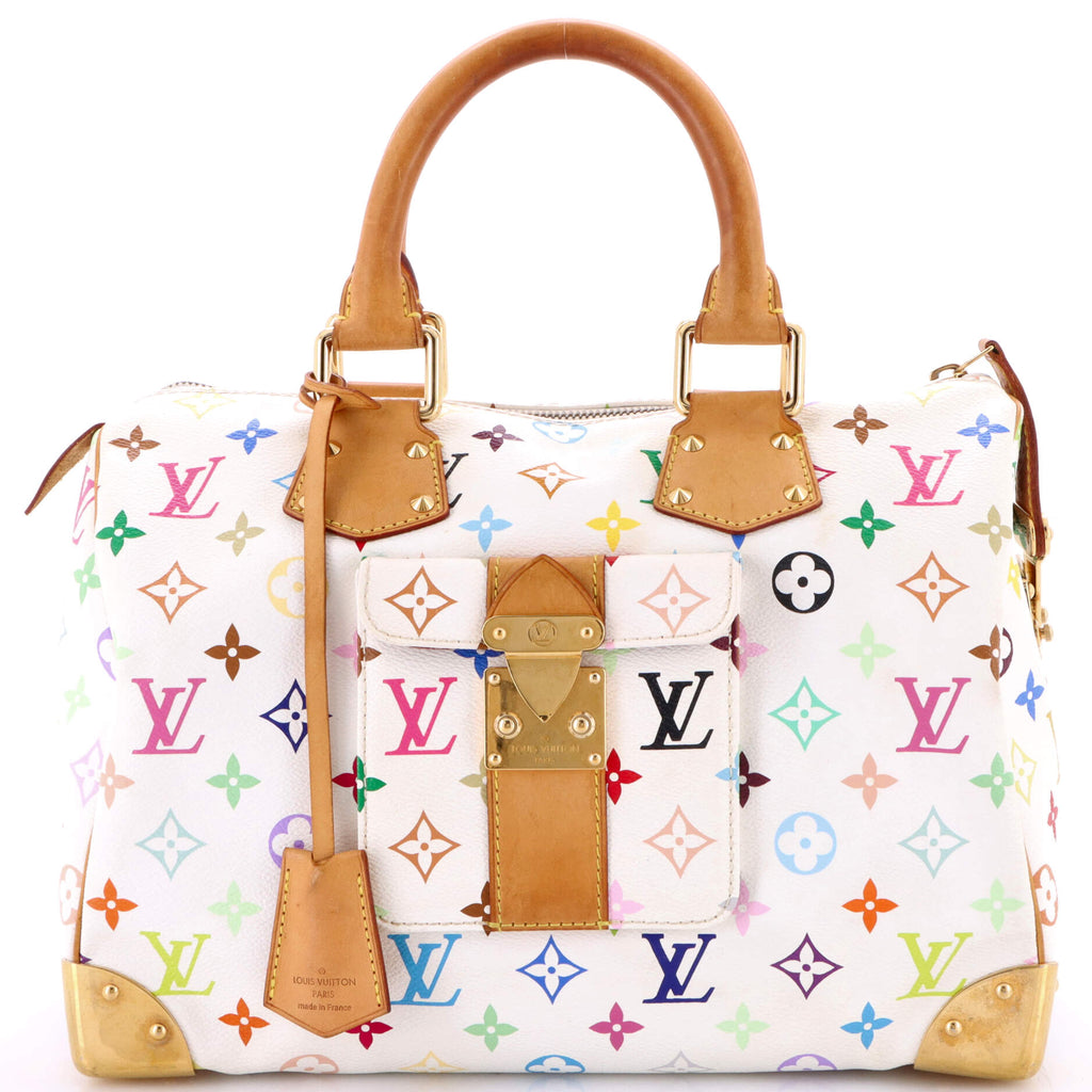 Speedy Handbag Monogram Multicolor 30