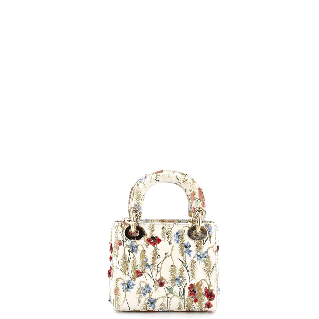 Lady Dior Chain Bag Embroidered Calfskin Mini