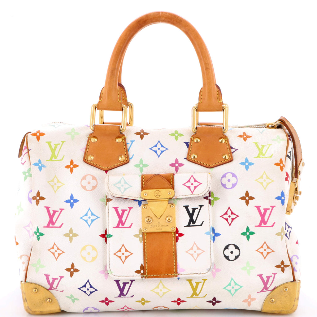 Speedy Handbag Monogram Multicolor 30