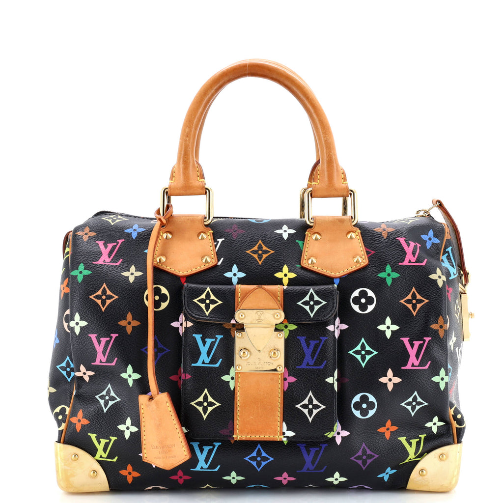 Speedy Handbag Monogram Multicolor 30