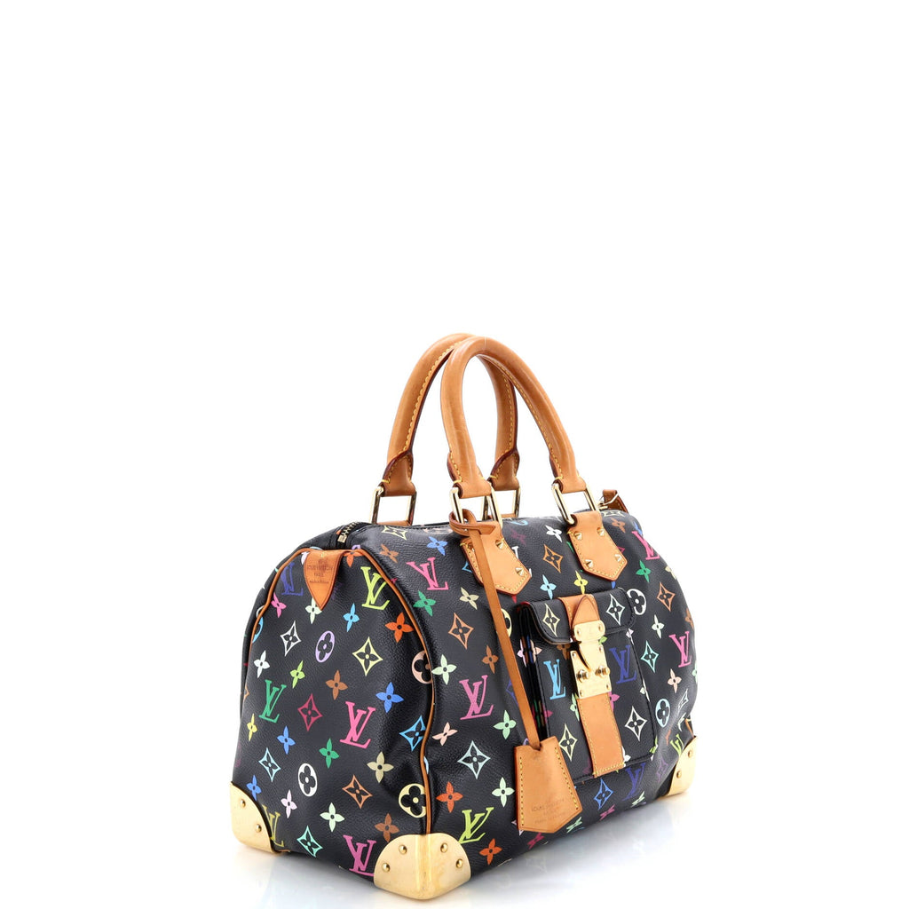 Speedy Handbag Monogram Multicolor 30
