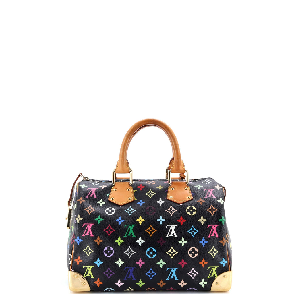 Speedy Handbag Monogram Multicolor 30