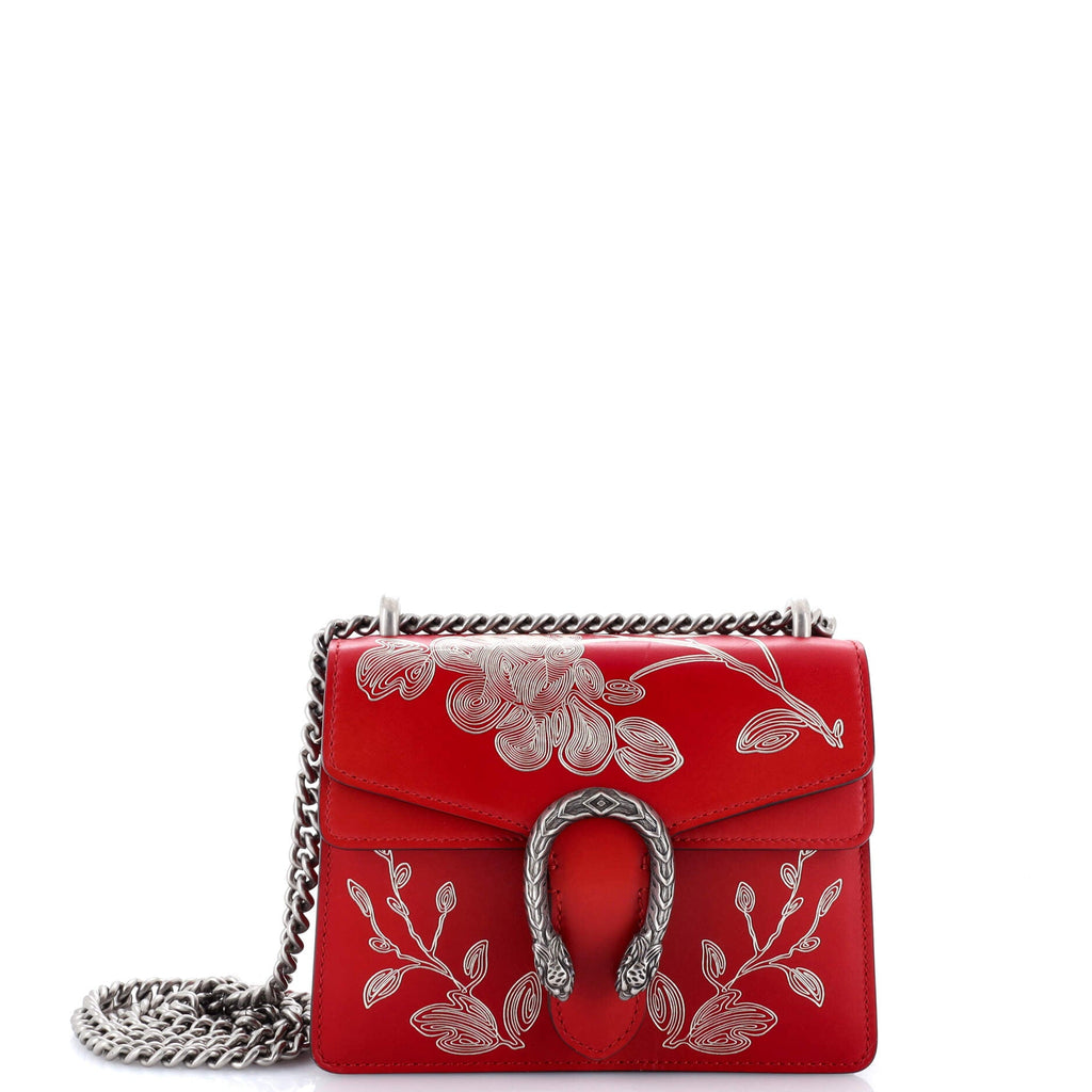 Dionysus Bag Limited Edition Painted Leather Mini