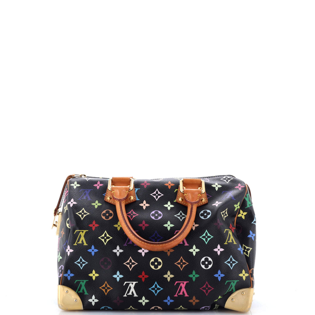 Speedy Handbag Monogram Multicolor 30
