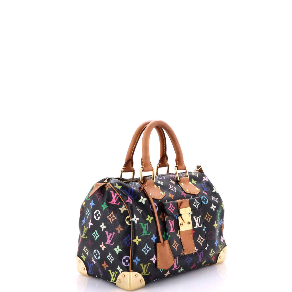 Speedy Handbag Monogram Multicolor 30
