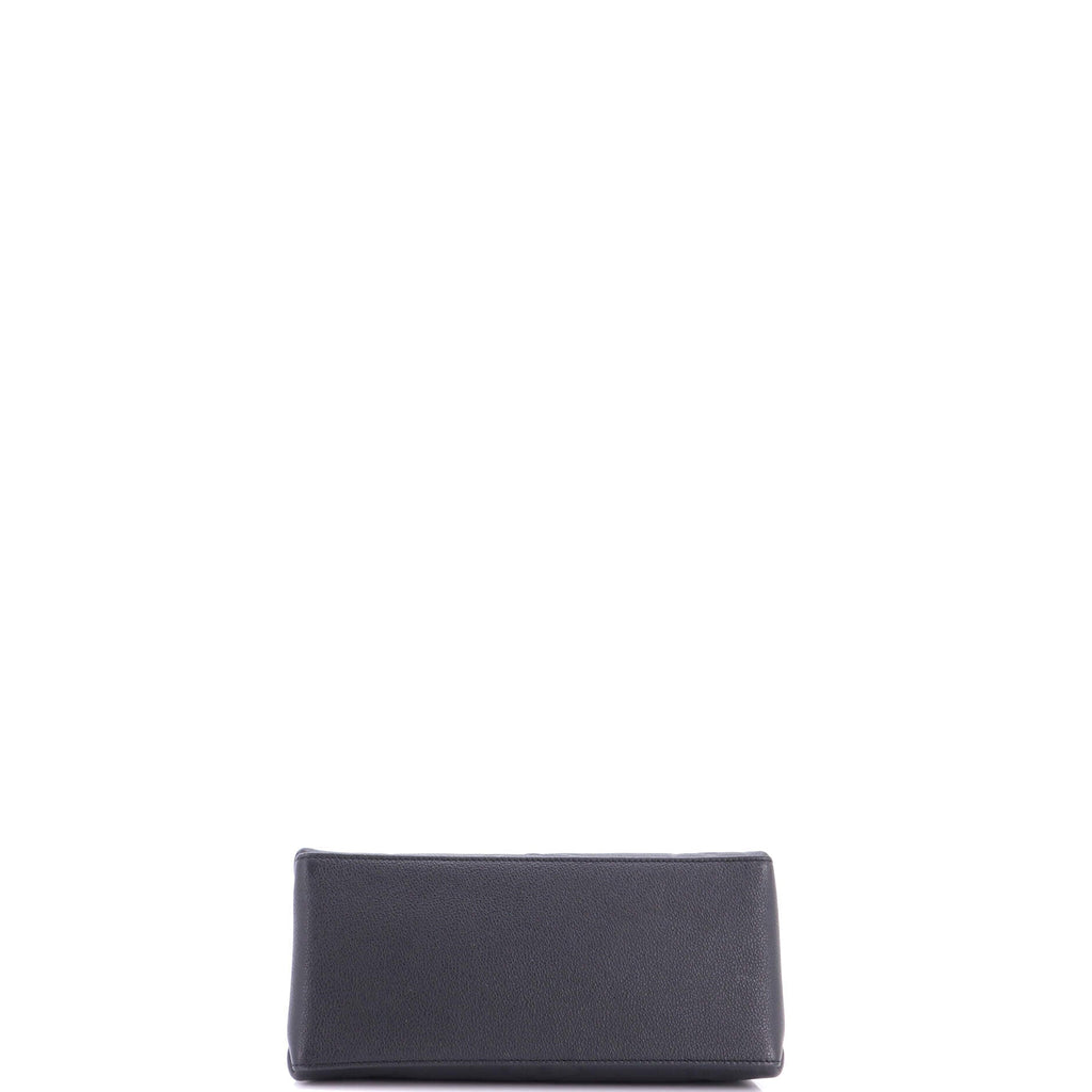Petit Palais Handbag Monogram Empreinte Giant