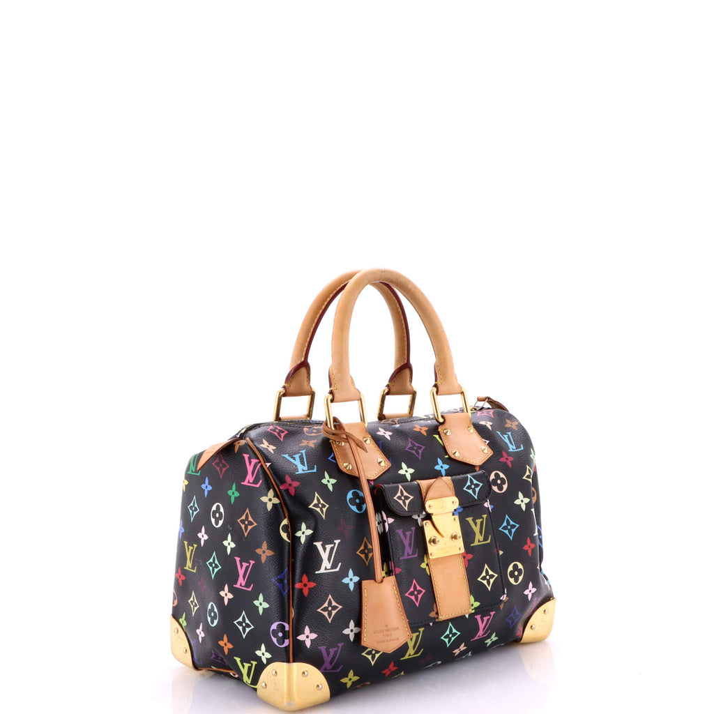 Speedy Handbag Monogram Multicolor 30