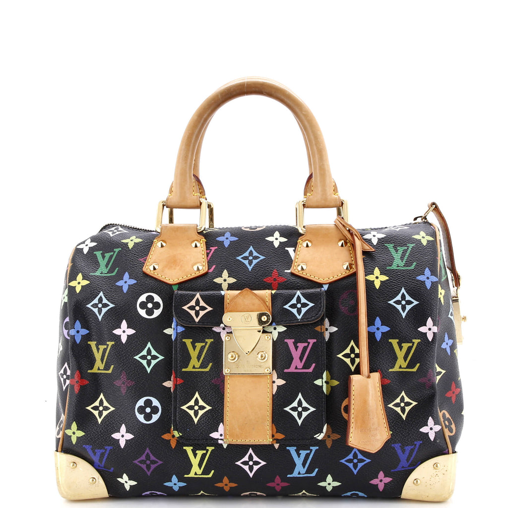 Speedy Handbag Monogram Multicolor 30