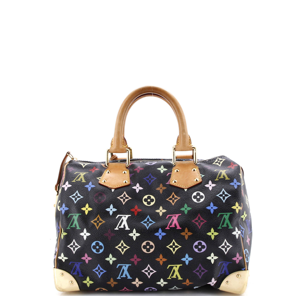Speedy Handbag Monogram Multicolor 30