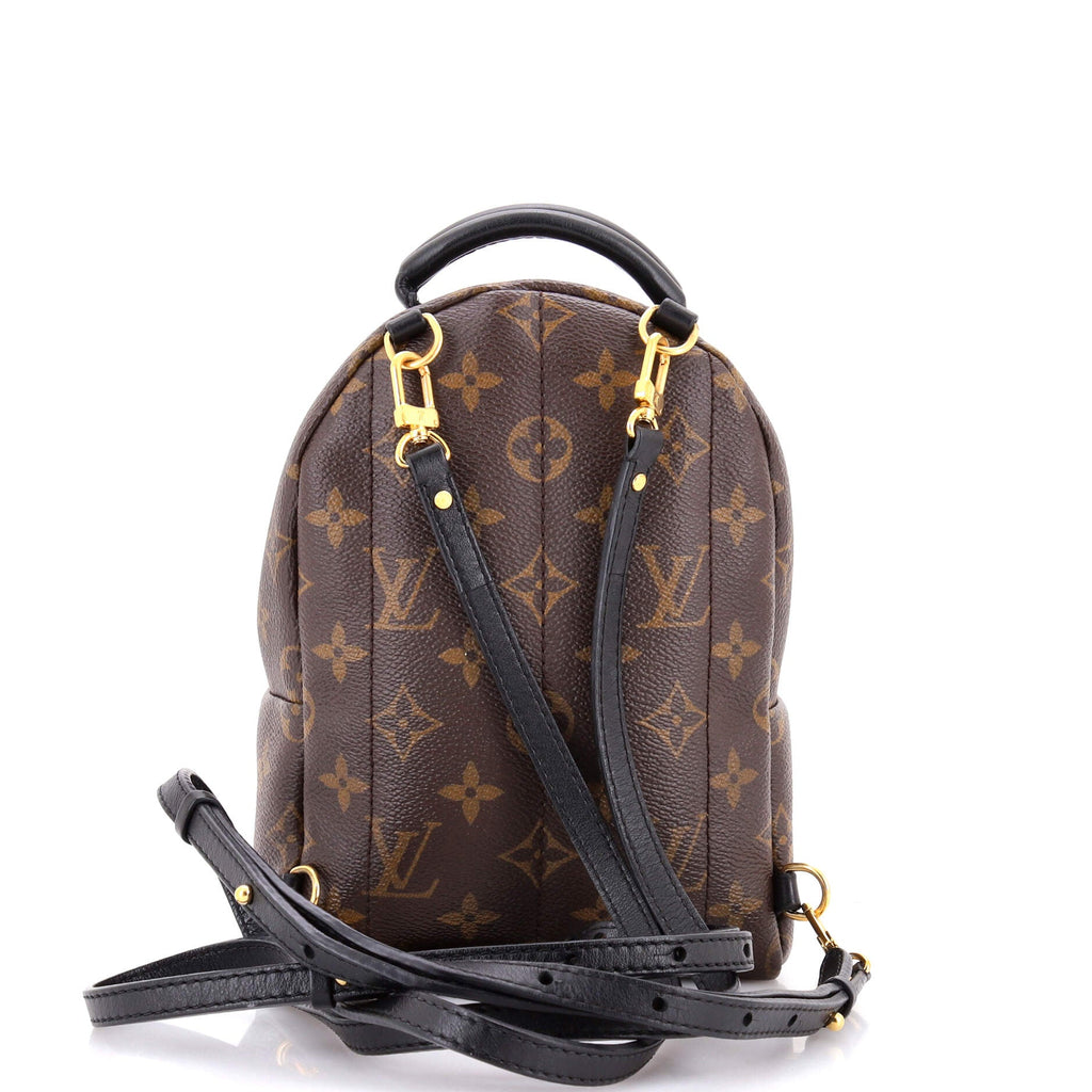 Palm Springs Backpack Monogram Canvas Mini