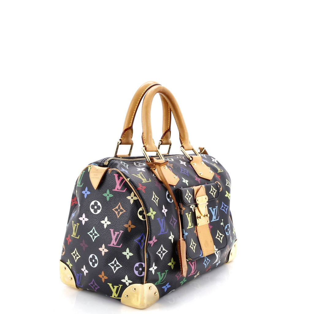 Speedy Handbag Monogram Multicolor 30