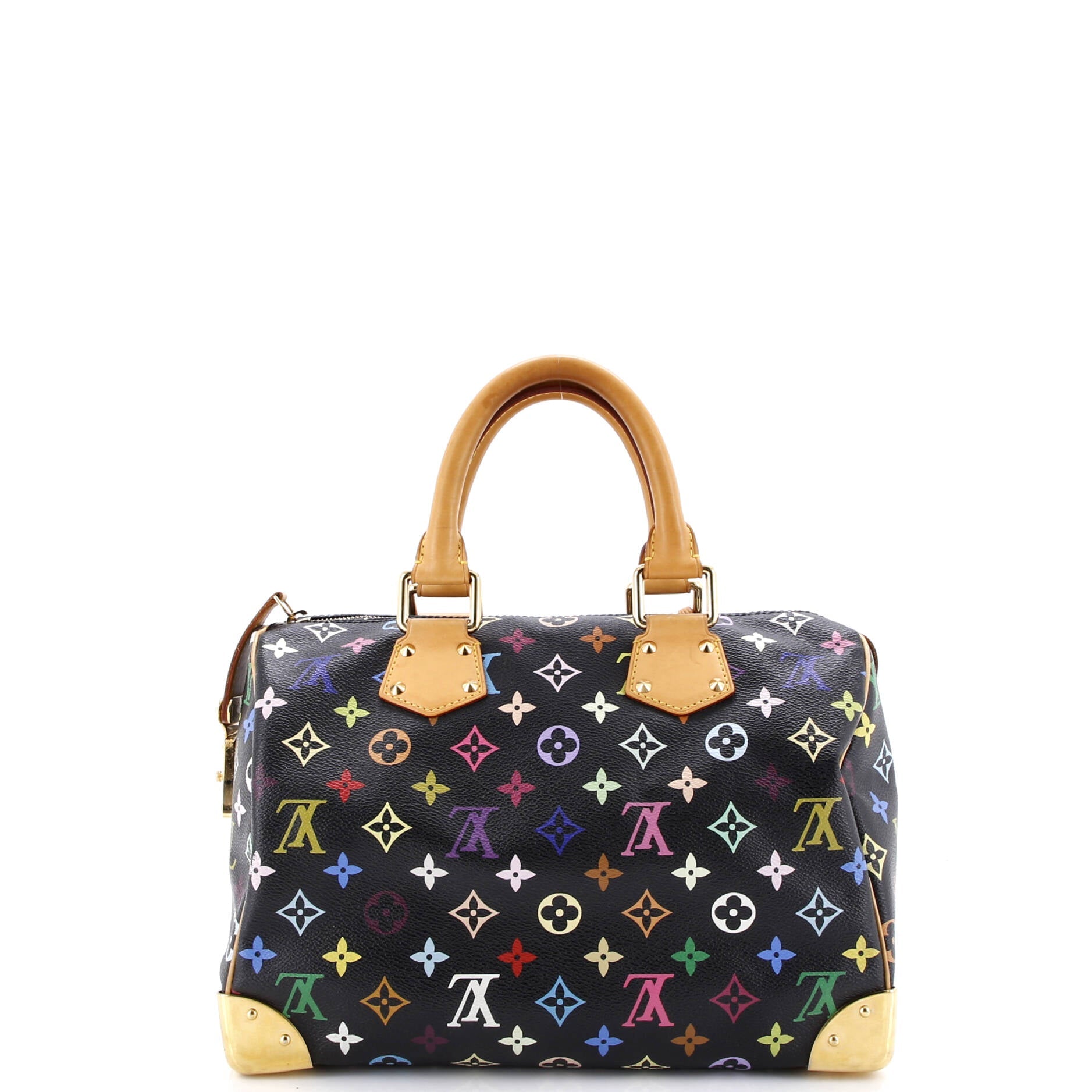 Speedy Handbag Monogram Multicolor 30