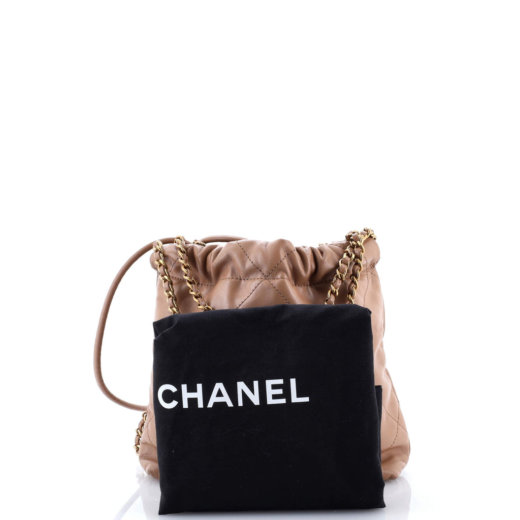 22 Chain Hobo Quilted Calfskin Mini