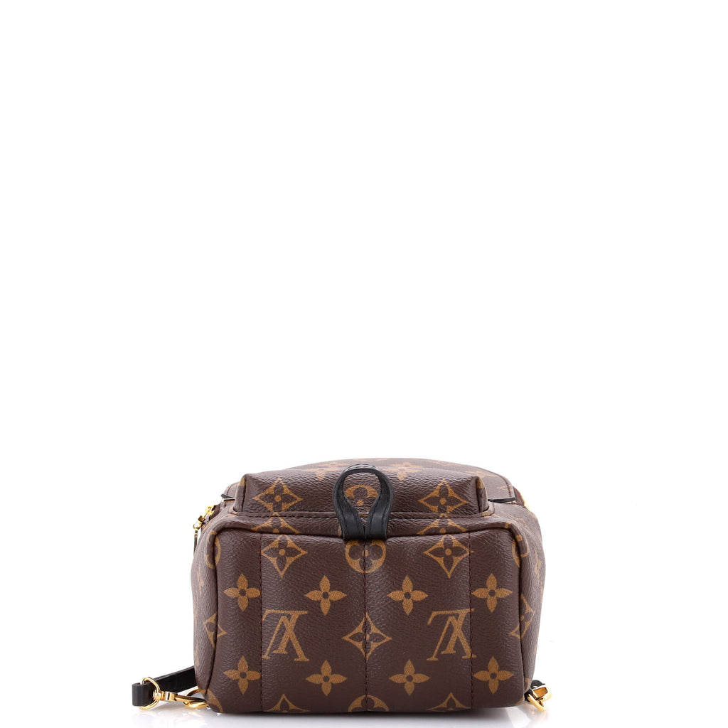 Palm Springs Backpack Monogram Canvas Mini