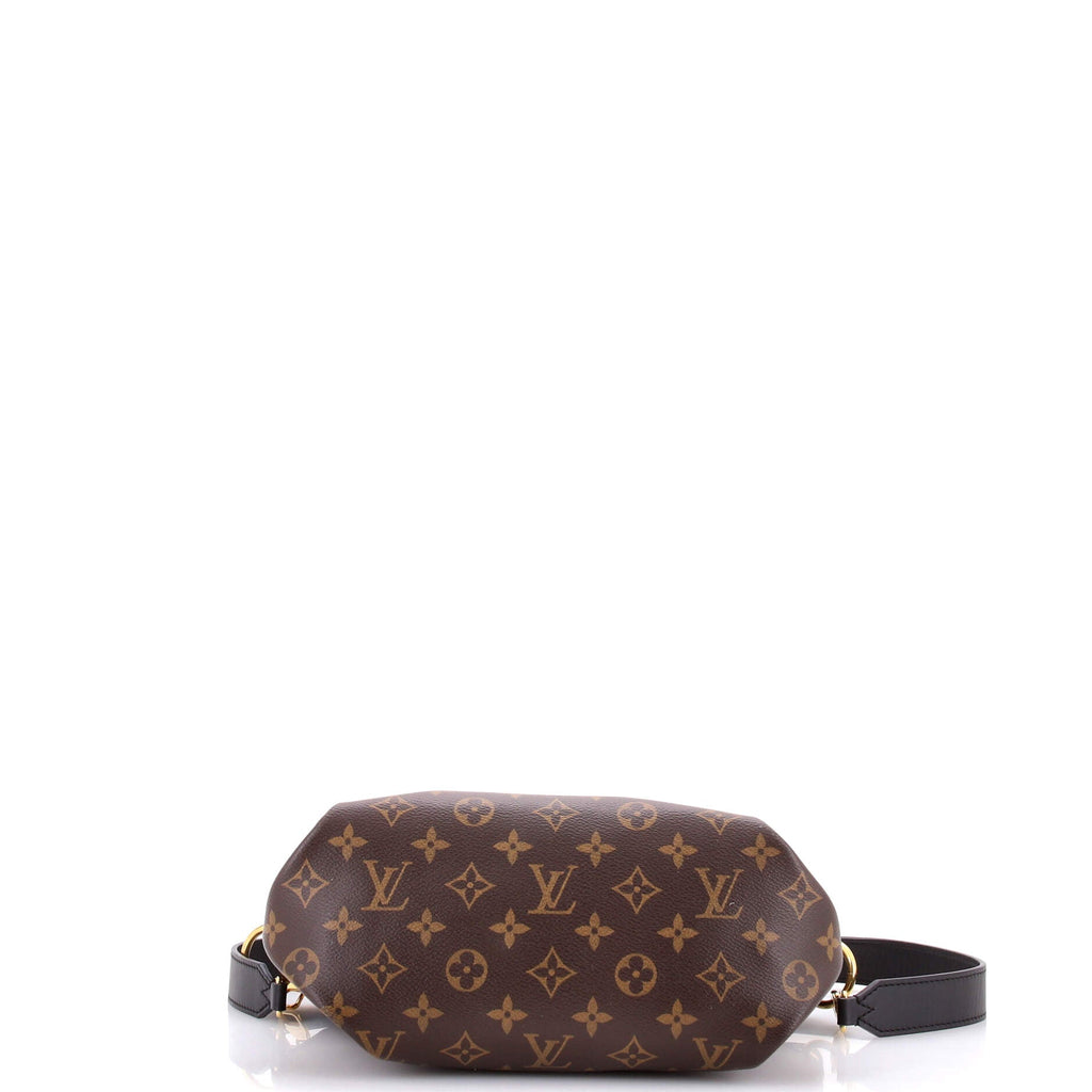 Flower Zipped Tote Monogram Canvas PM