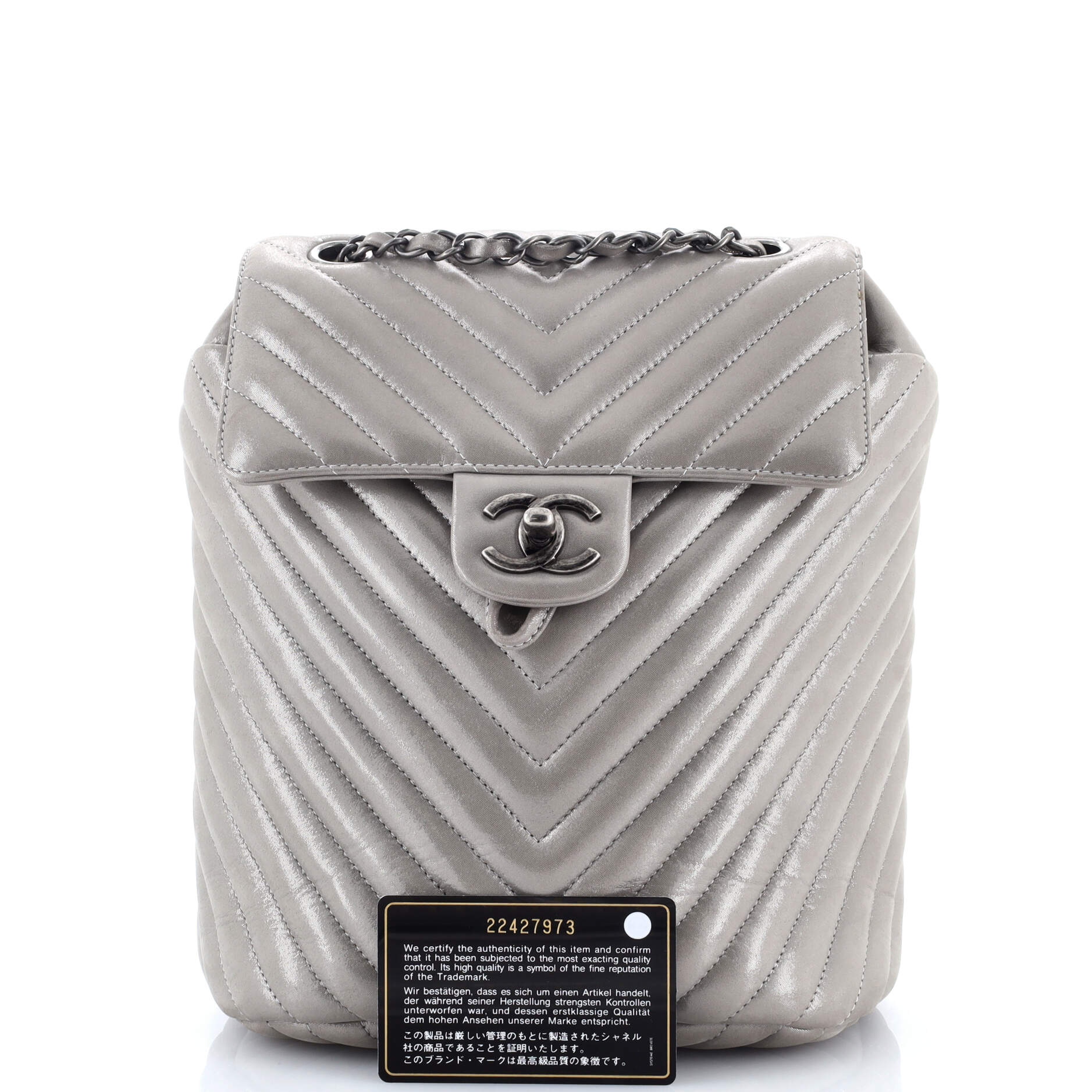 Urban Spirit Backpack Chevron Iridescent Calfskin Small