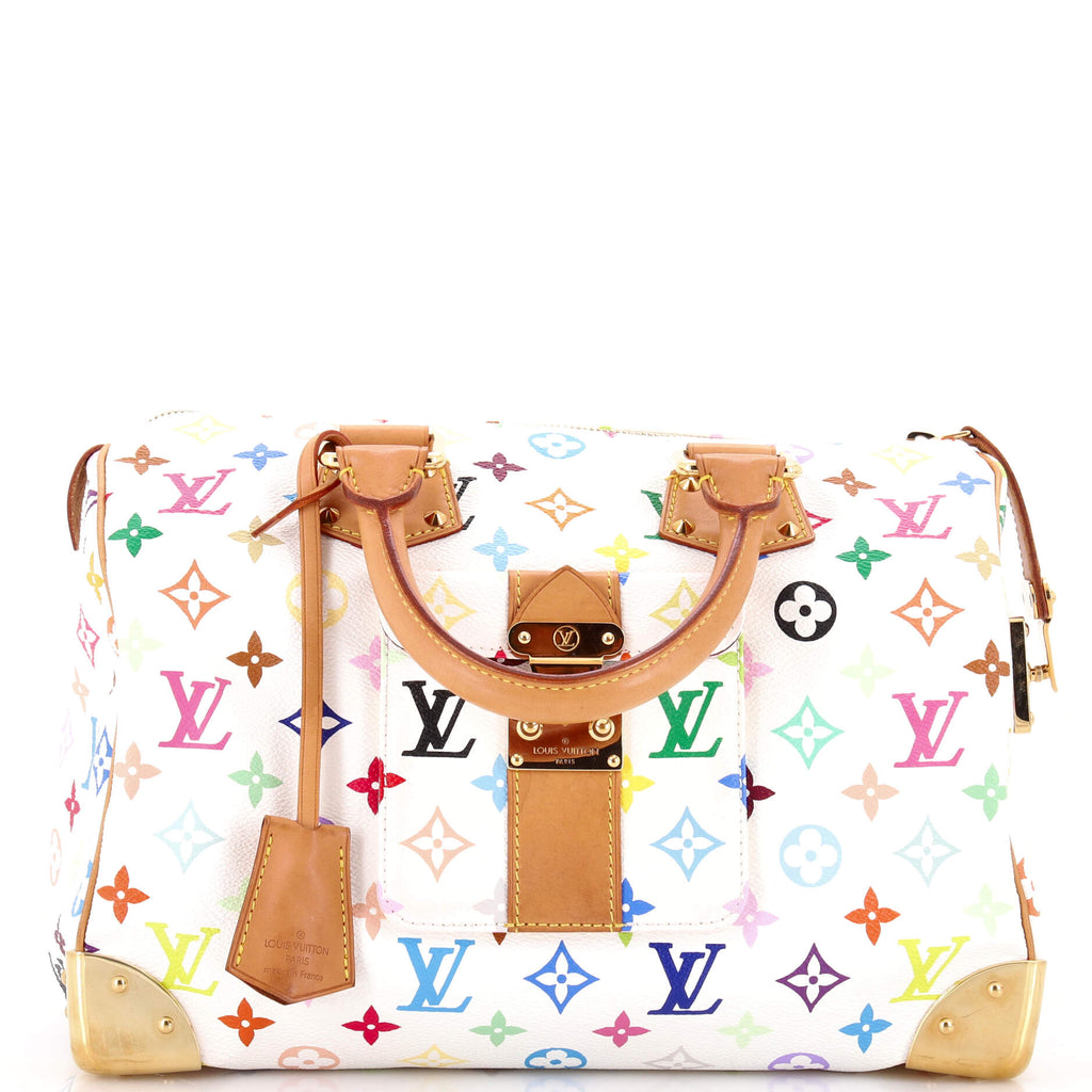 Speedy Handbag Monogram Multicolor 30