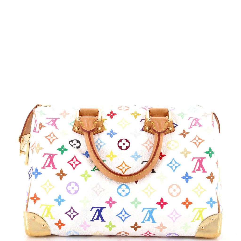 Speedy Handbag Monogram Multicolor 30